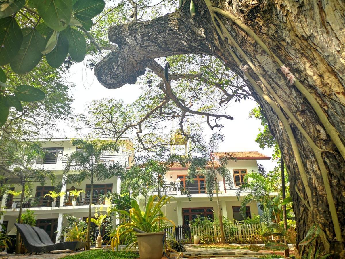 Serendib Village Guest house