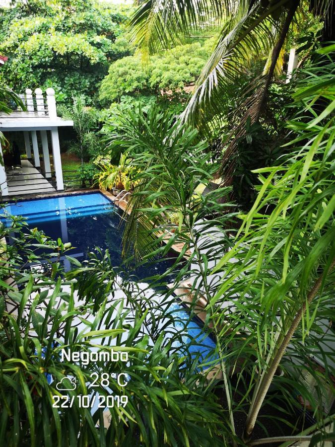 Serendib Village Negombo