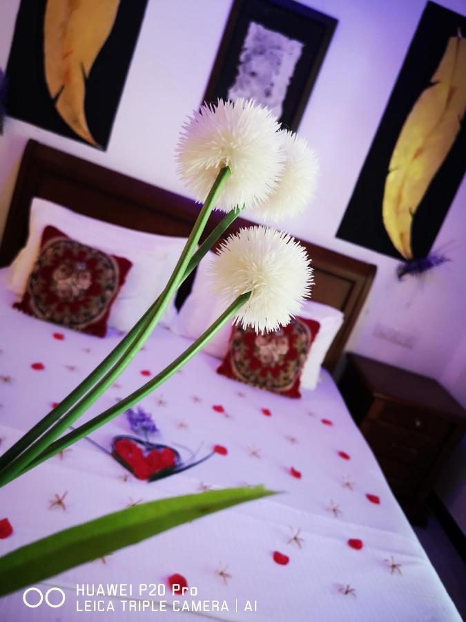 Serendib Village Negombo