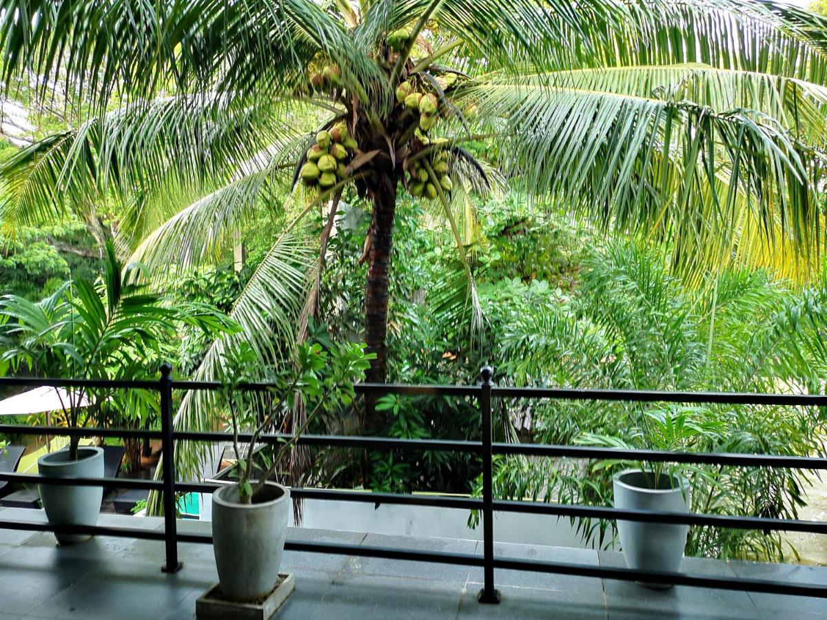 Guest house Serendib Village