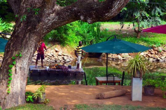 Guest house Serendib Village 3*